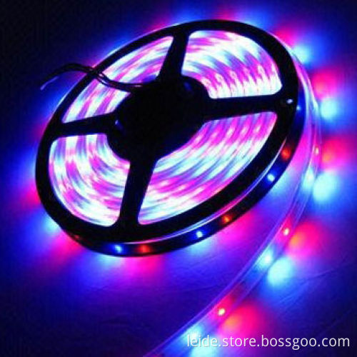 HQ SMD5050 LED Strip Light, RGB, 60 LEDs/m